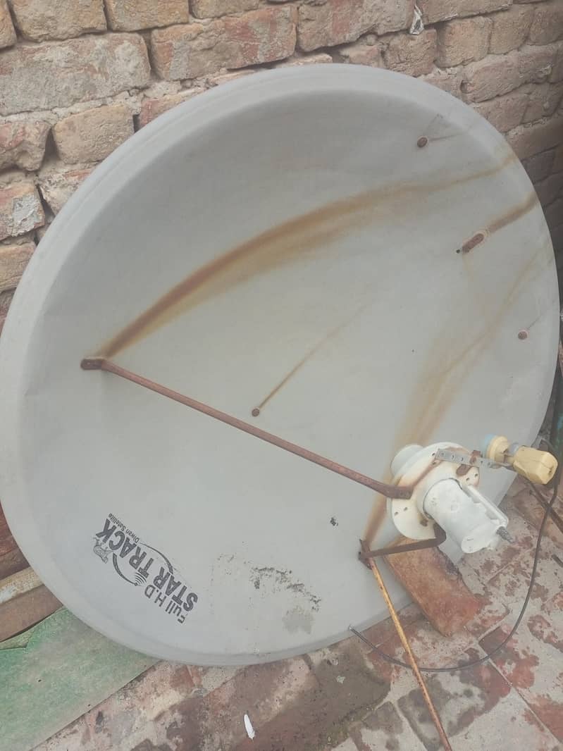 dish. 2