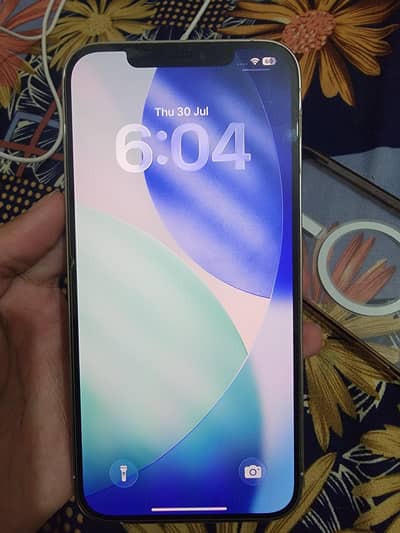Apple iPhone 12 Pro Max