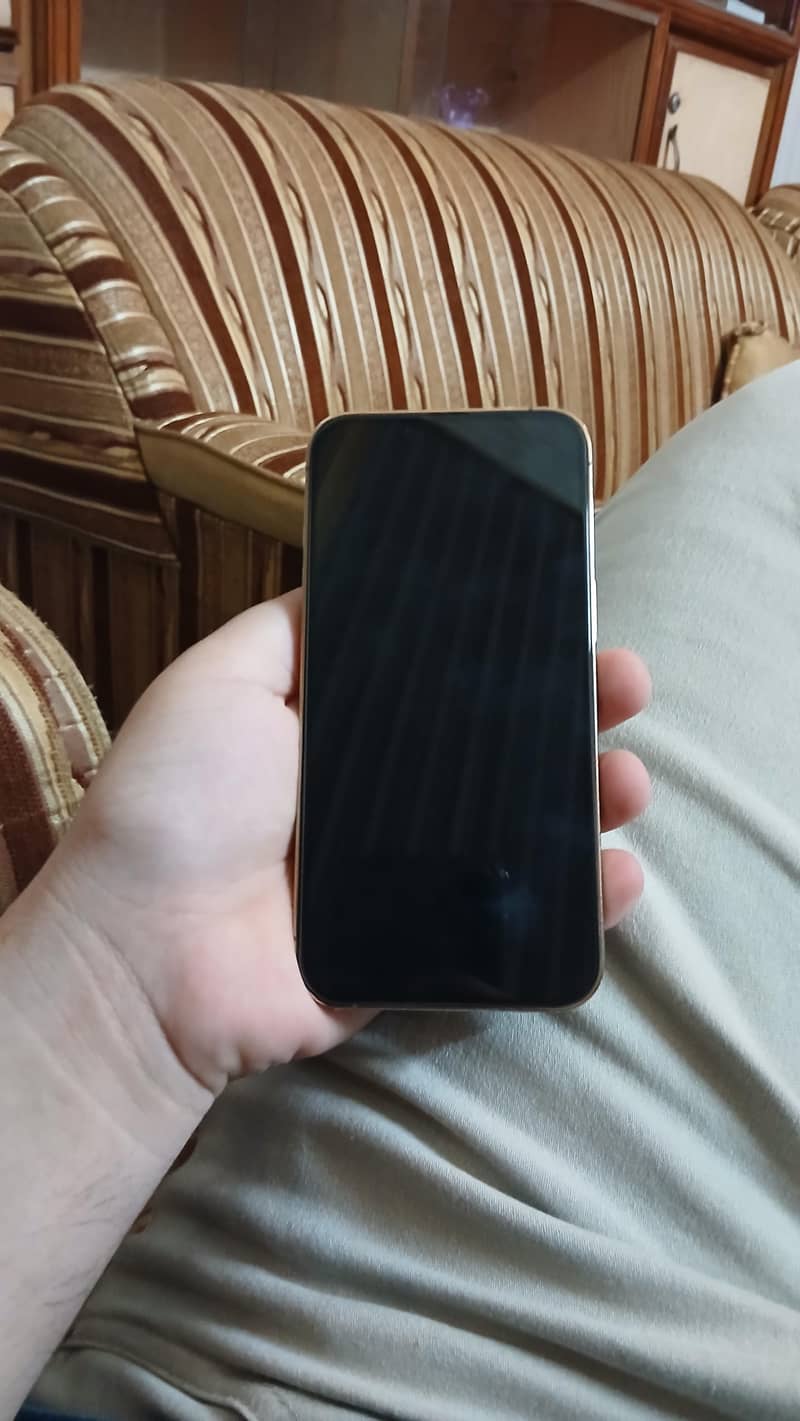 Apple iPhone 13 Pro 1