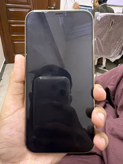Apple iPhone 12 Pro Max