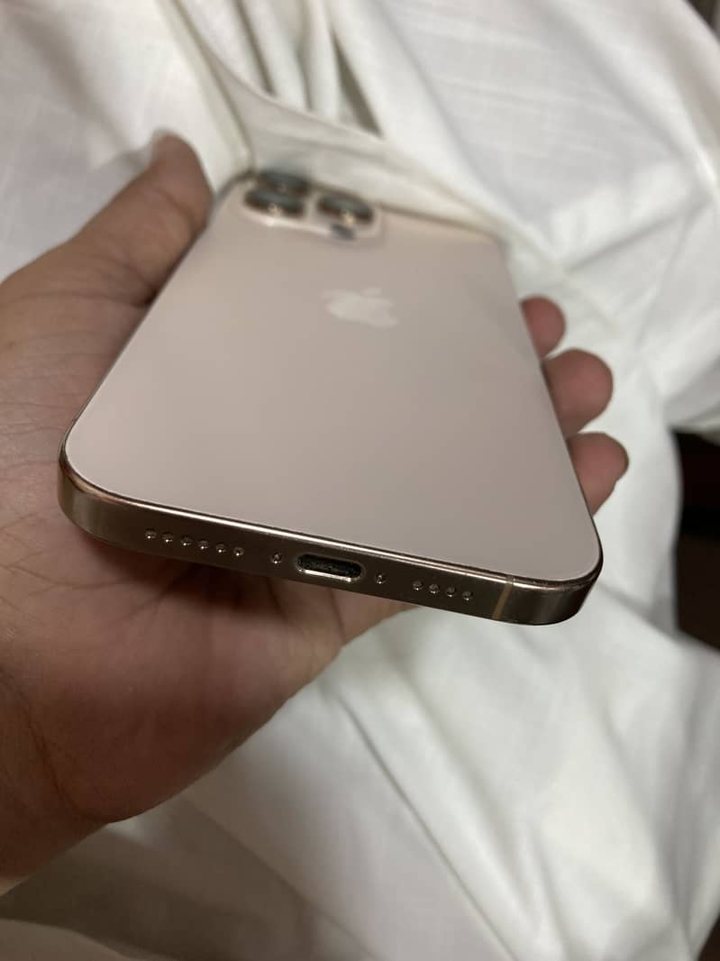 Apple iPhone 16 Pro Max 1
