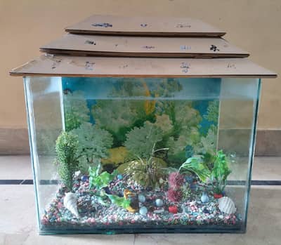 glass fish tank aquarium with inside accessories