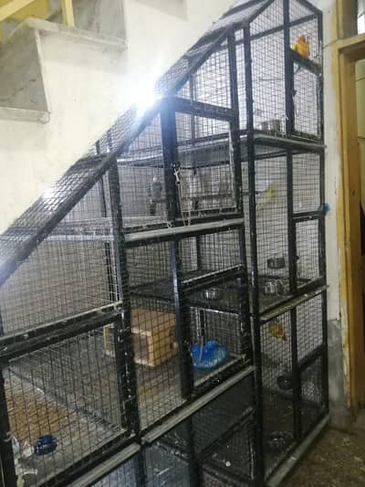 cage for Parrots 100000