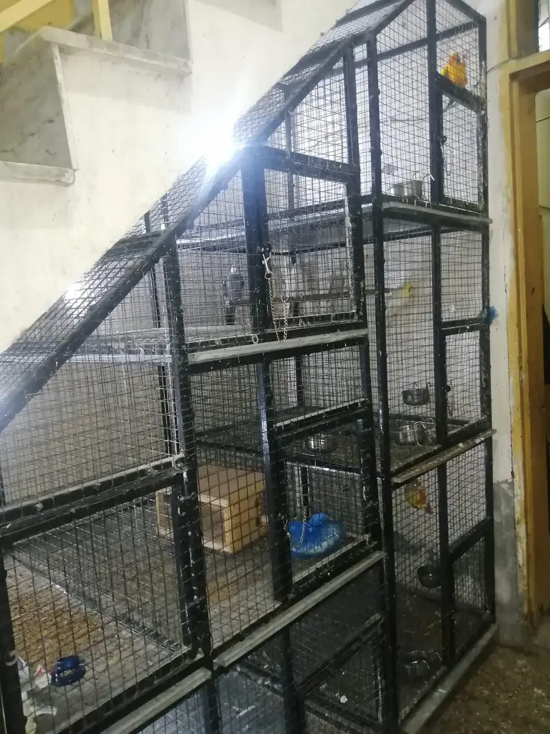 cage for Parrots 100000 — photo 4