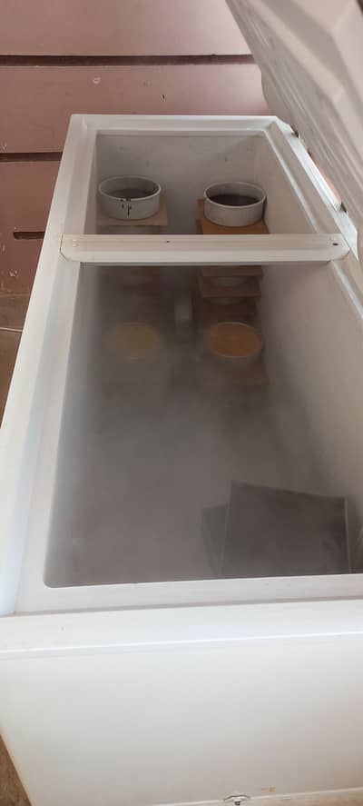 jambo invertter freezer