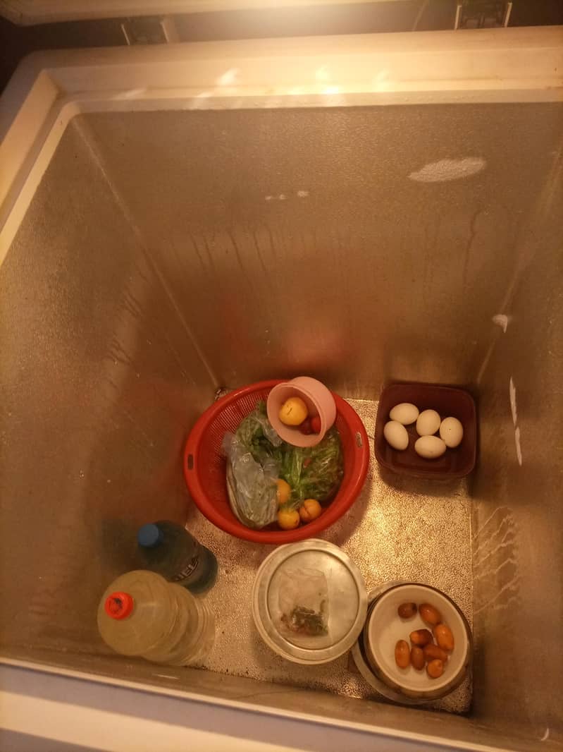 freezer 3