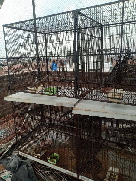 master cage 1