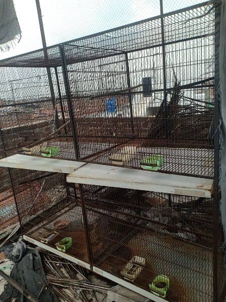 master cage 3
