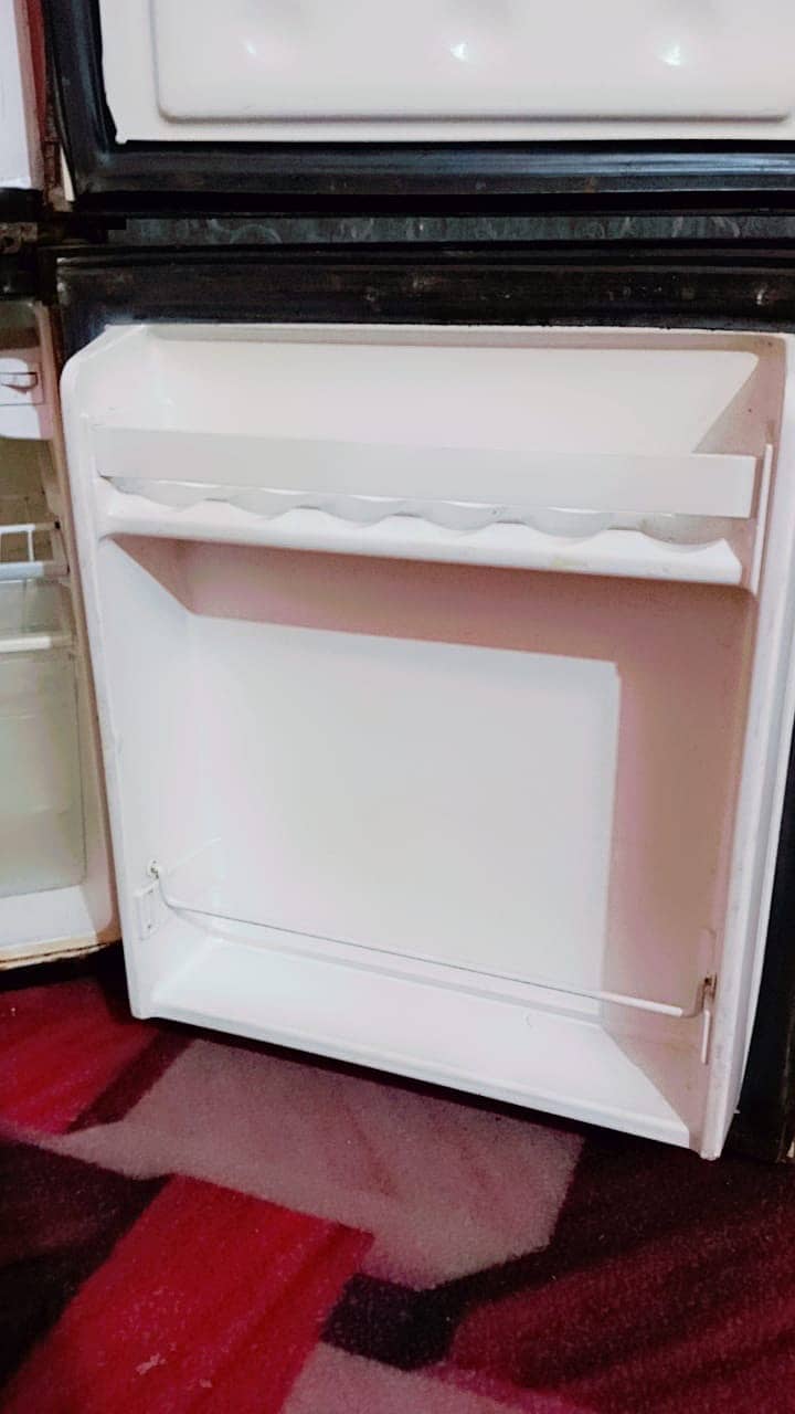 fridge 6