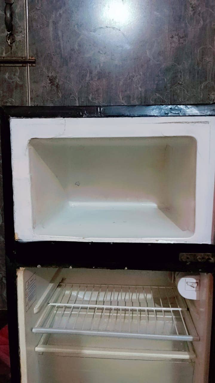 fridge 11