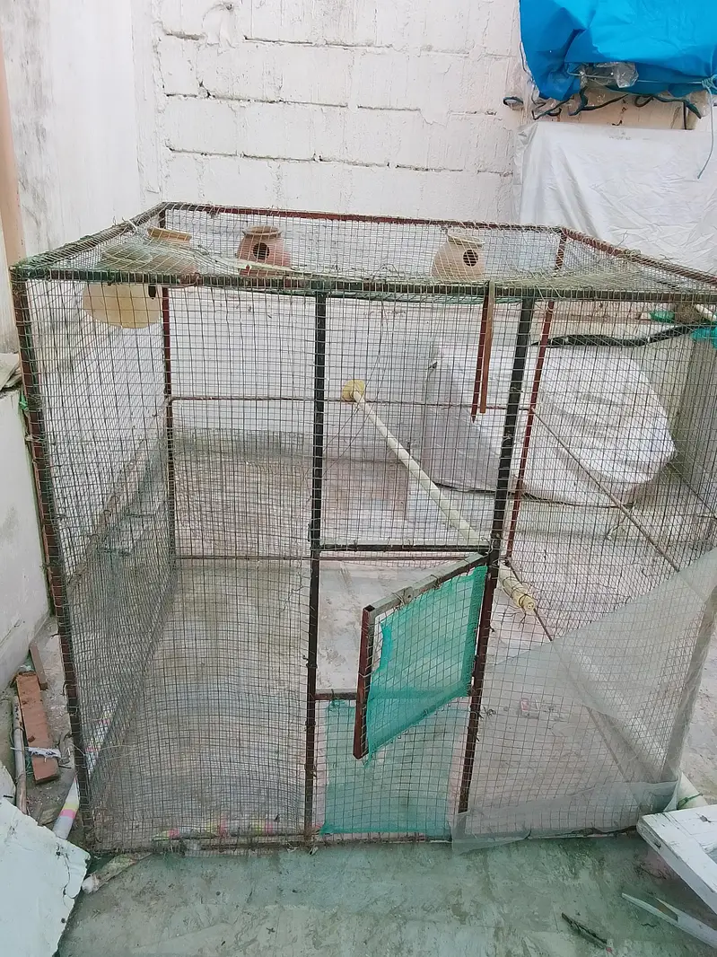 cage (Pingra) for Hens & Birds — photo 2