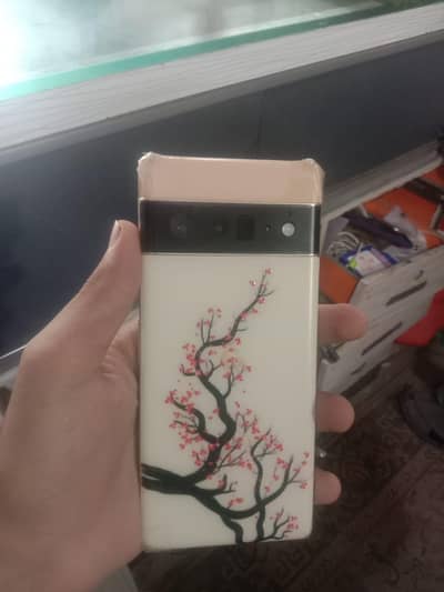 Google Pixel 6 Pro