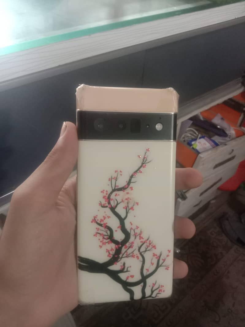 Google Pixel 6 Pro 0