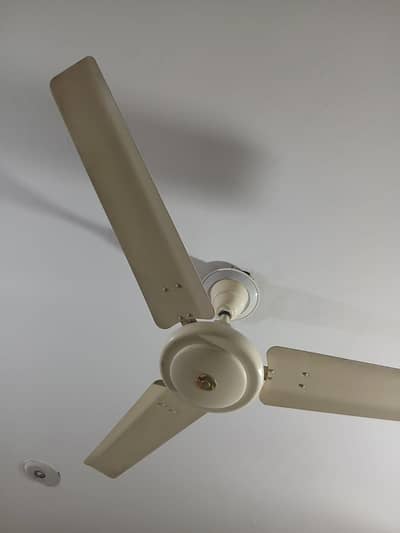 Breeze Fan Ceiling Fan