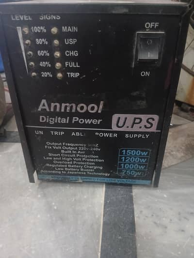 1000 watt. ups