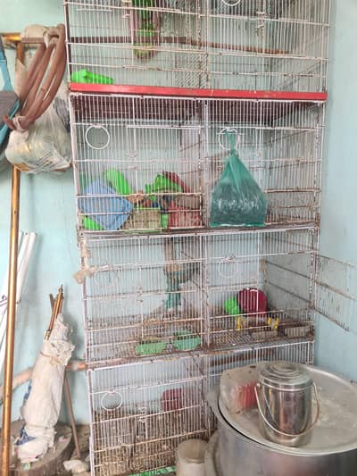 iron cage