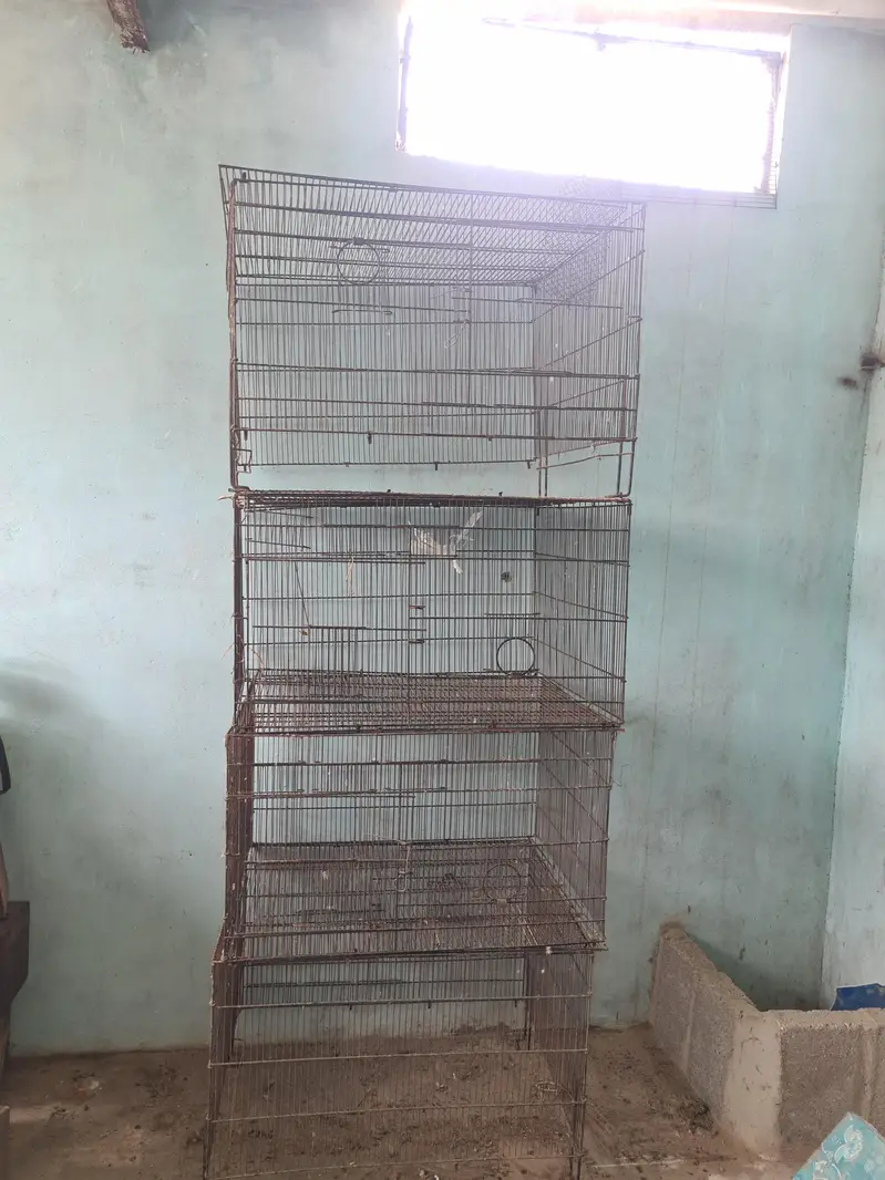 iron cage — photo 2