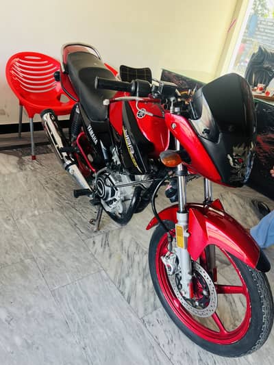 ybr for sale