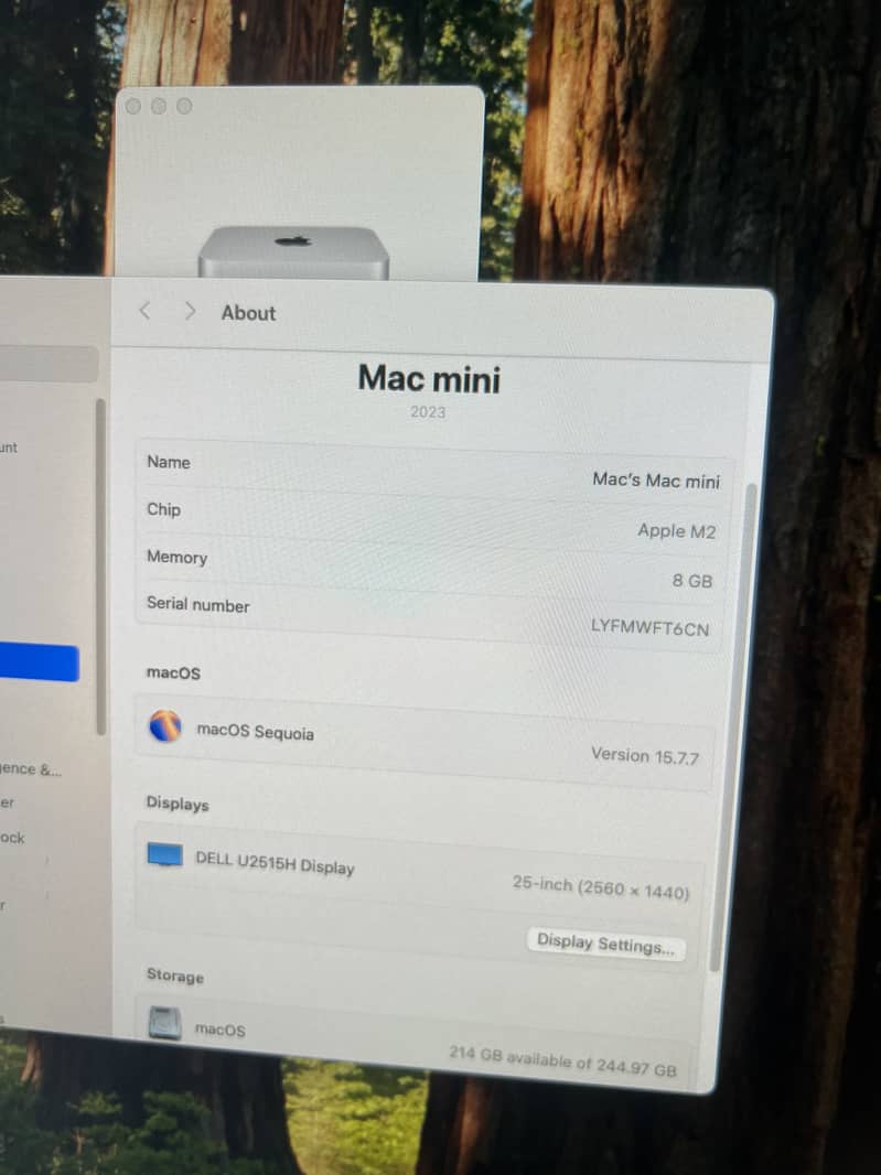 Mac mini m2 8GB 5