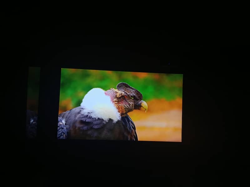 X96mini android box 7
