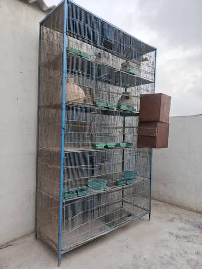 Cage Pinjra