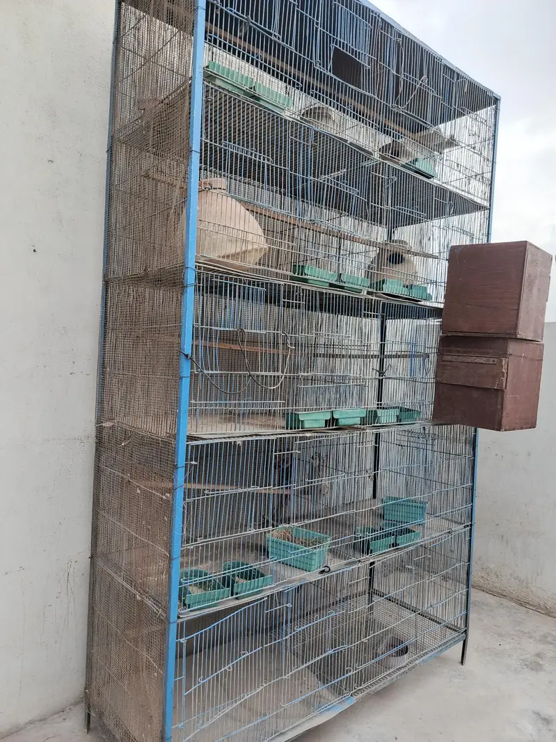Cage Pinjra — photo 2