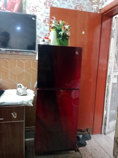 pel fridge