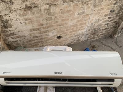 Orient delta 18 golden white