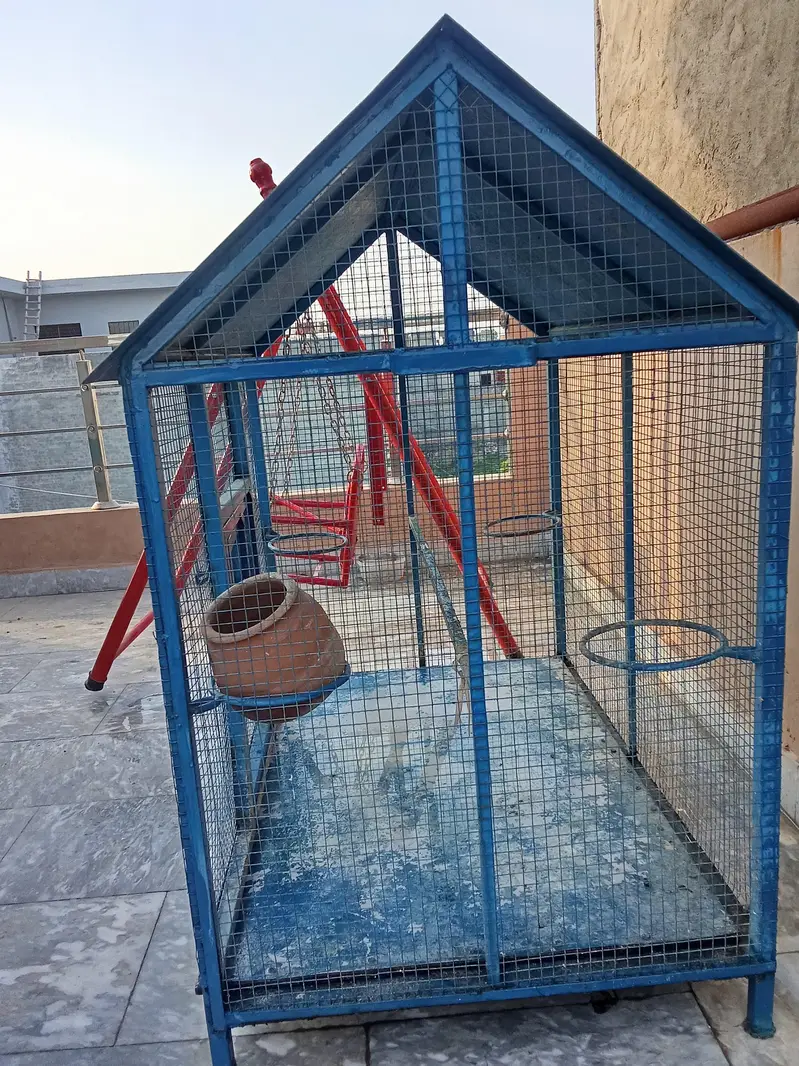 cages. . . pinjra — photo 2