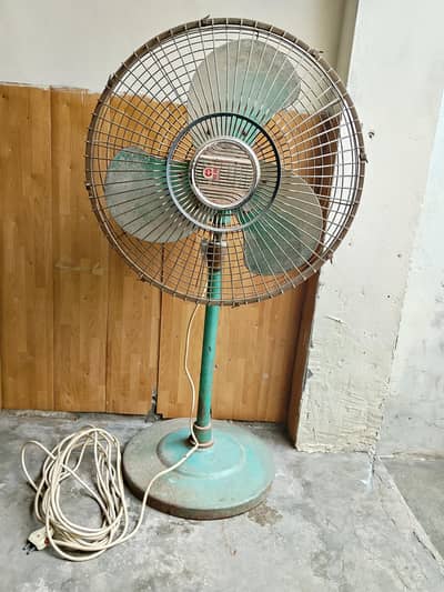 Farshe Fan