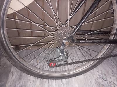 Cycle for sale