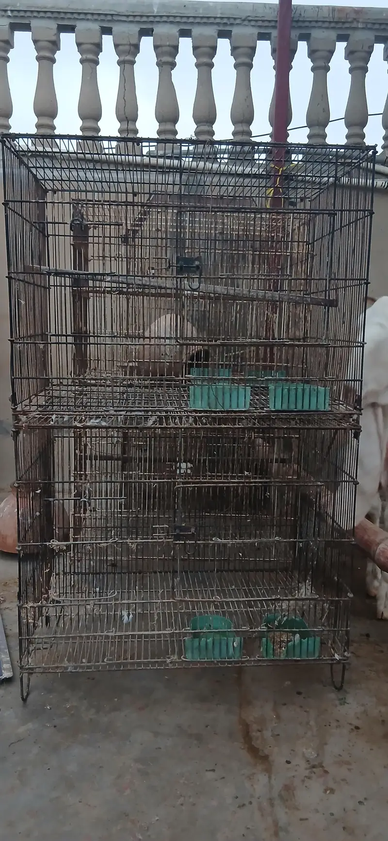 5 Large Double-Story Bird Cages + 8 Wooden Nest Boxes + 19 Pots — photo 2