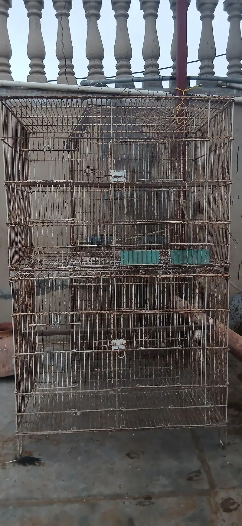 5 Large Double-Story Bird Cages + 8 Wooden Nest Boxes + 19 Pots — photo 4