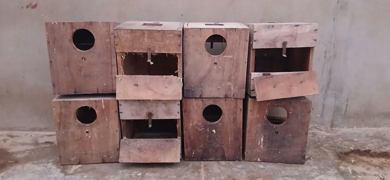 5 Large Double-Story Bird Cages + 8 Wooden Nest Boxes + 19 Pots — photo 6