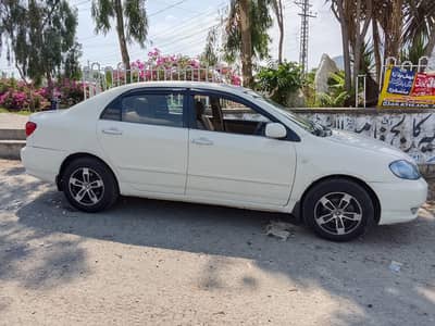 gli exchange mehran Cary bolan ex up model