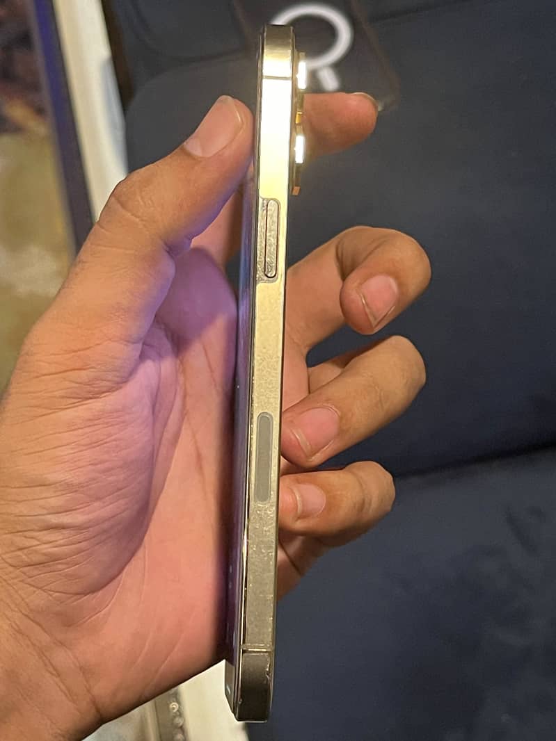 Apple iPhone 12 Pro Max 5
