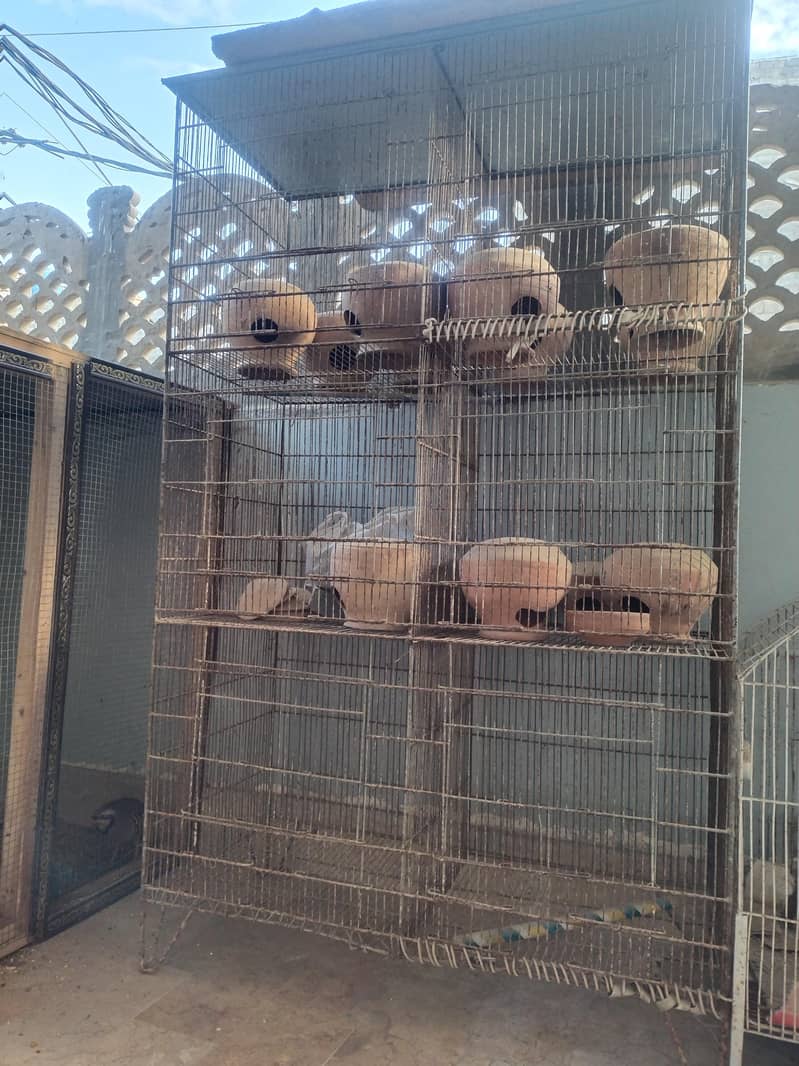 Big Size Cage 0