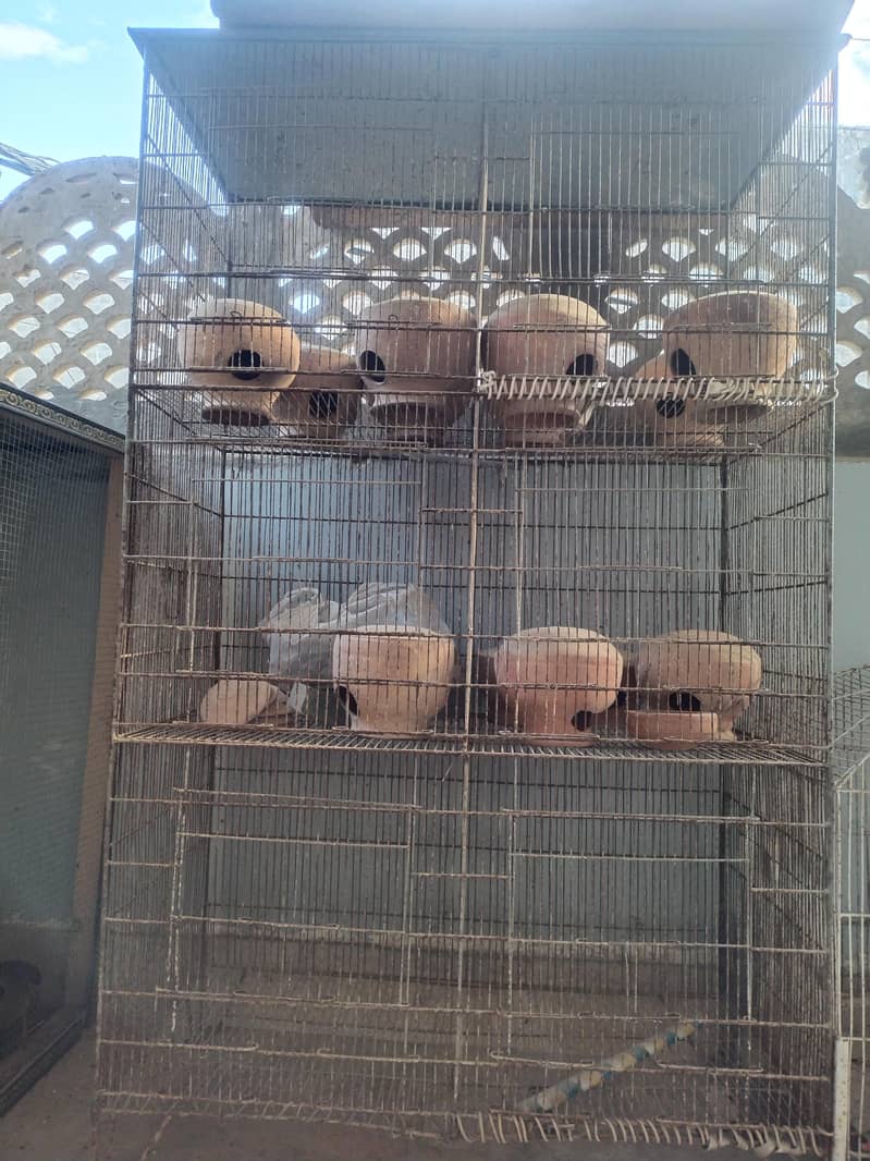 Big Size Cage 1