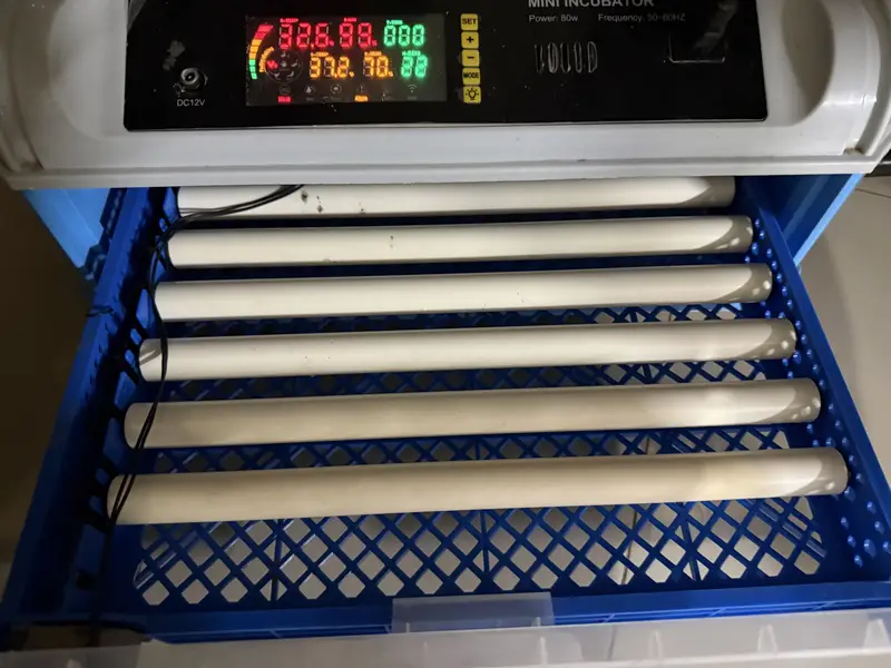 Automatic high Tech incubator 50+ eggs capacity — photo 3