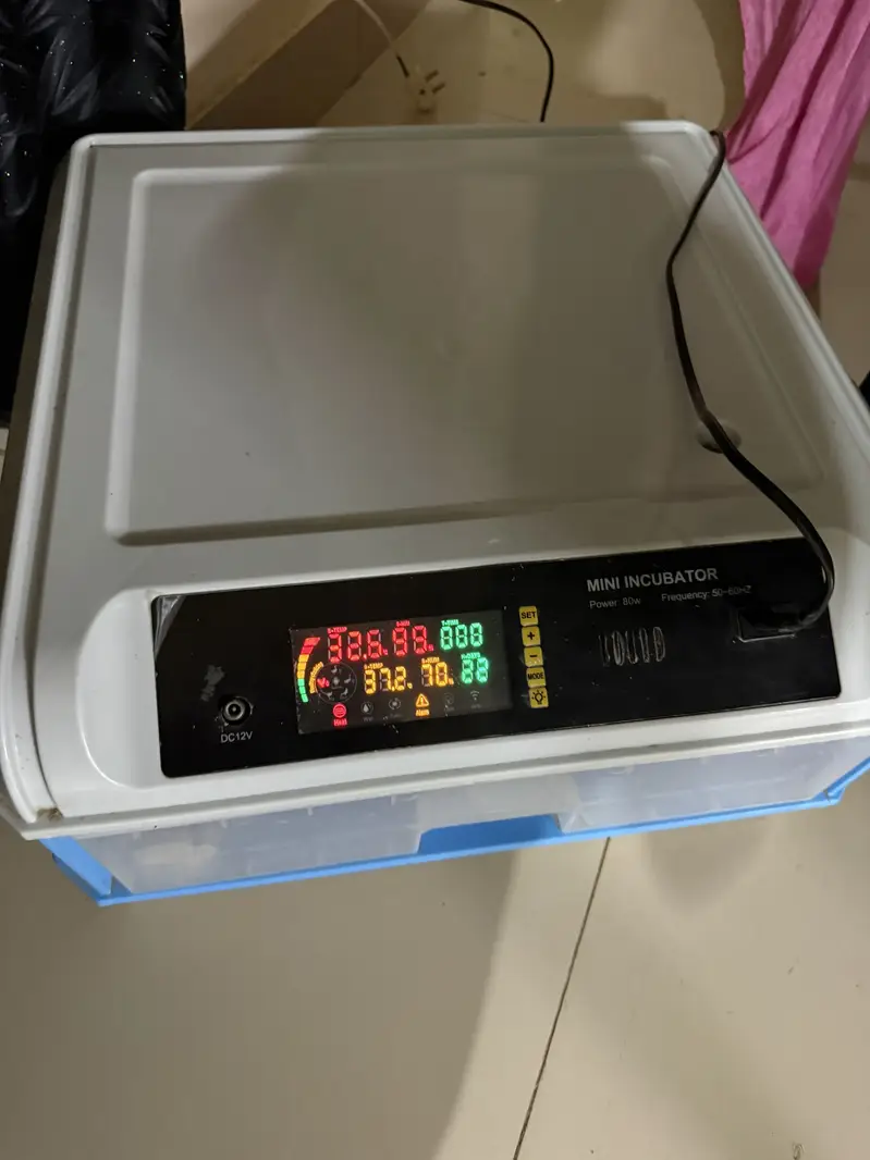 Automatic high Tech incubator 50+ eggs capacity — photo 4