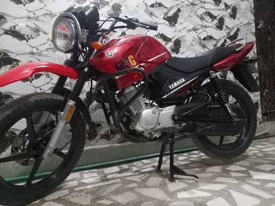 Yamaha YBR 125 2022 – Neat & Clean | Genuine Condition