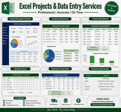 Excel Projects | Data Entry | Hospital & Inventory Sheets