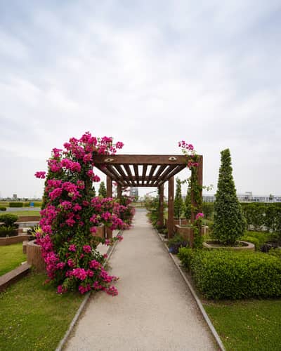 10 Marla Prime Location Residential Plot For Sale In Lahore Smart City, Overseas Block