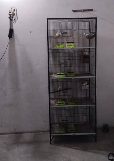 parrots cage