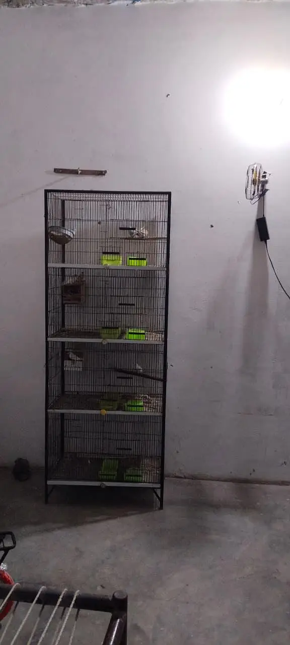 parrots cage — photo 2