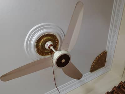Indus AC DC Fan