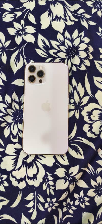 Apple iPhone 12 Pro Max