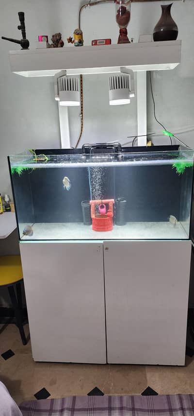 Aquariums