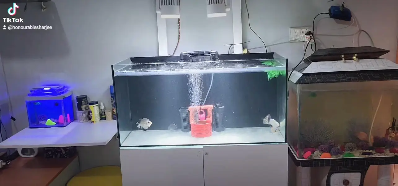 Aquariums — photo 3