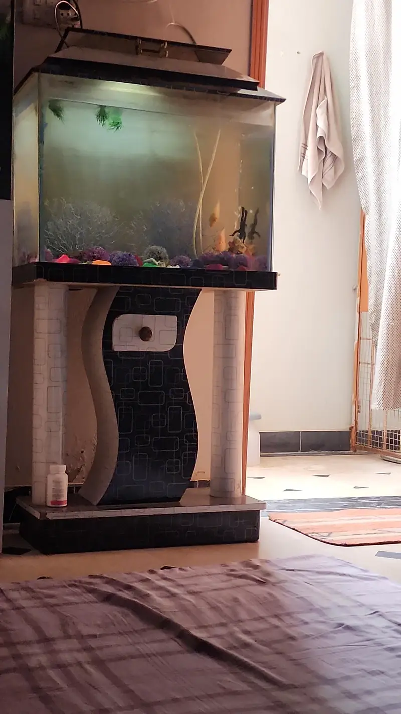 Aquariums — photo 5